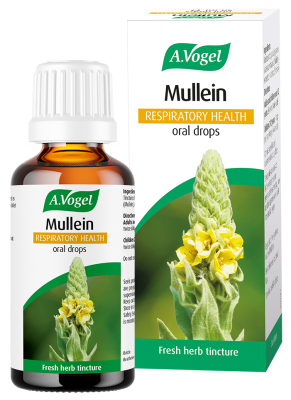 A.Vogel Mullein Respiratory Health oral drops