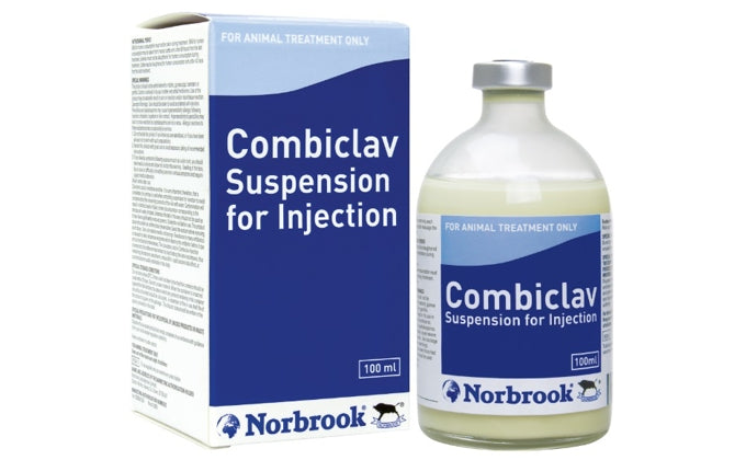 Combiclav Injection 100ml