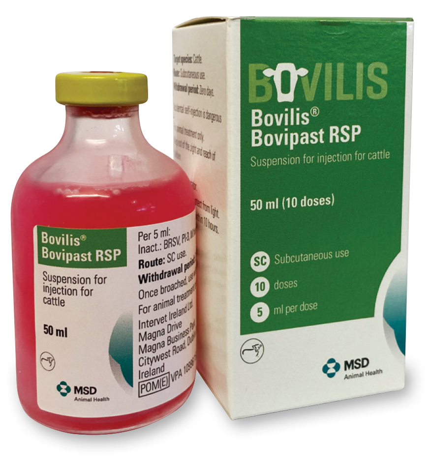 Bovipast RSP cattle vaccine
