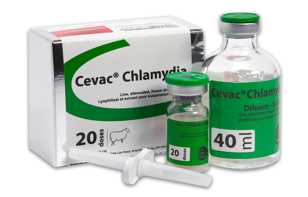 Ceva chlamydia