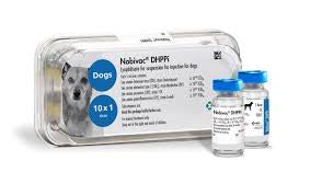 Nobivac DHPPi Dog vaccine