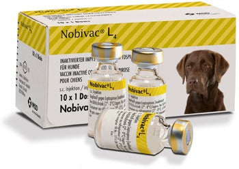 Nobivac Lepto Dog Vaccine