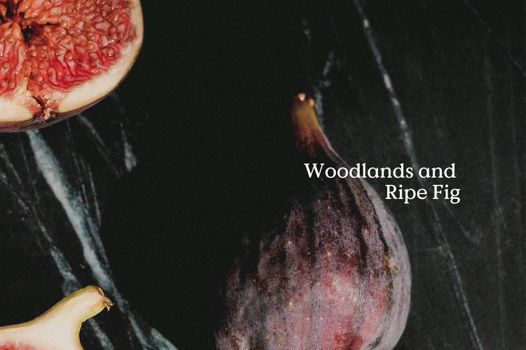 Field Day Folk Natural Room Spray FORAGE