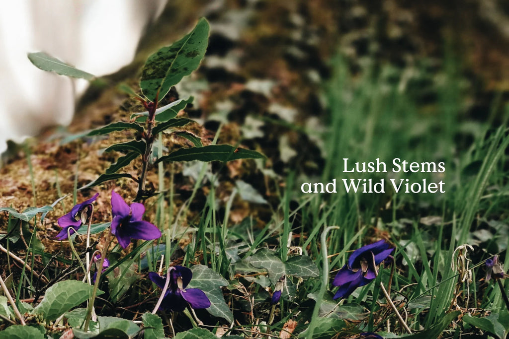 Field Day Folk Natural Room Spray KIN