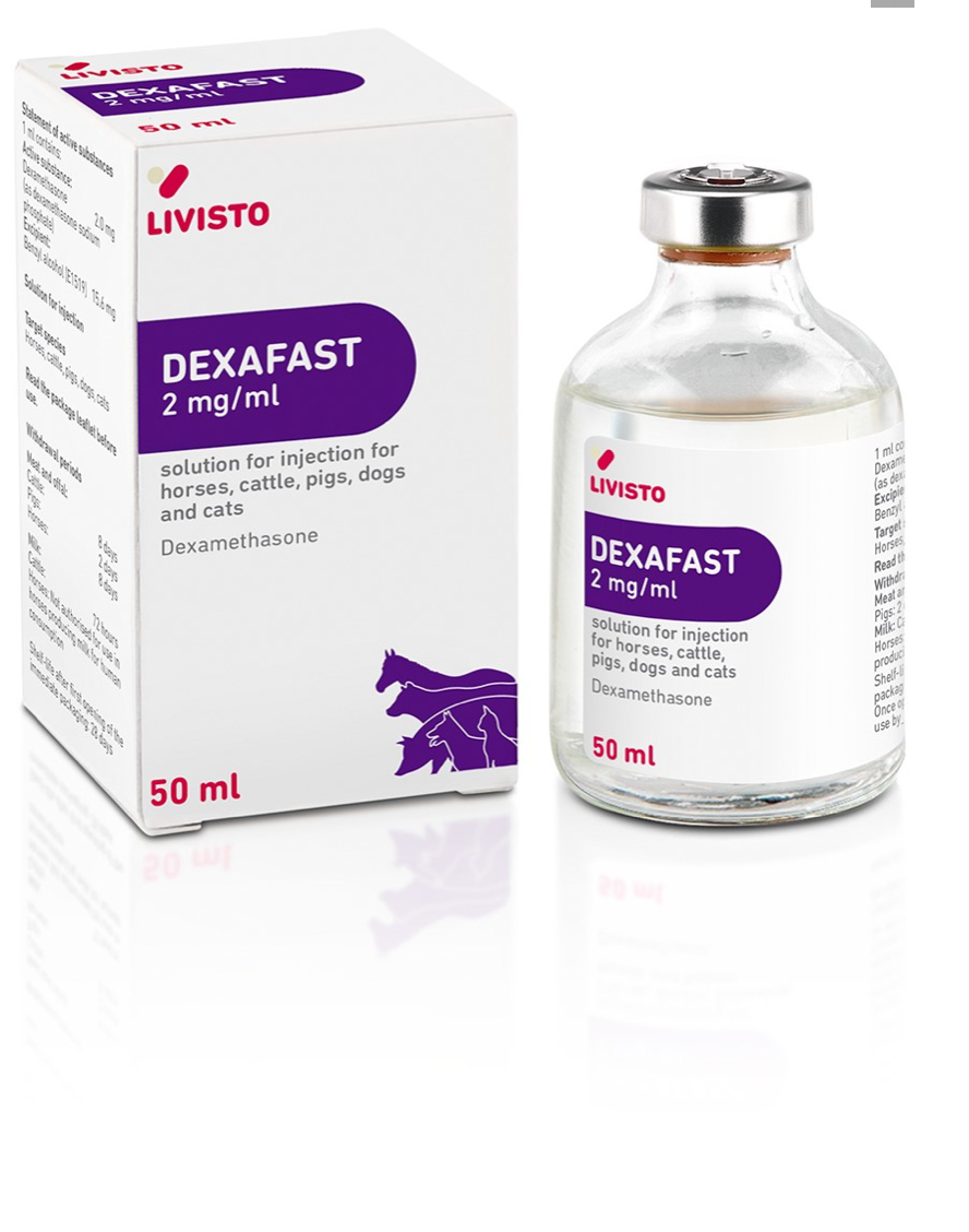 Dexafast 2mg/ml inj 50ml