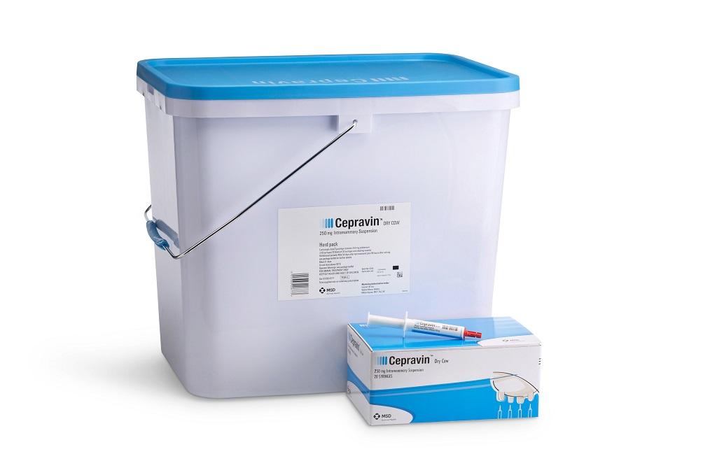 Cepravin Dry Cow syringes