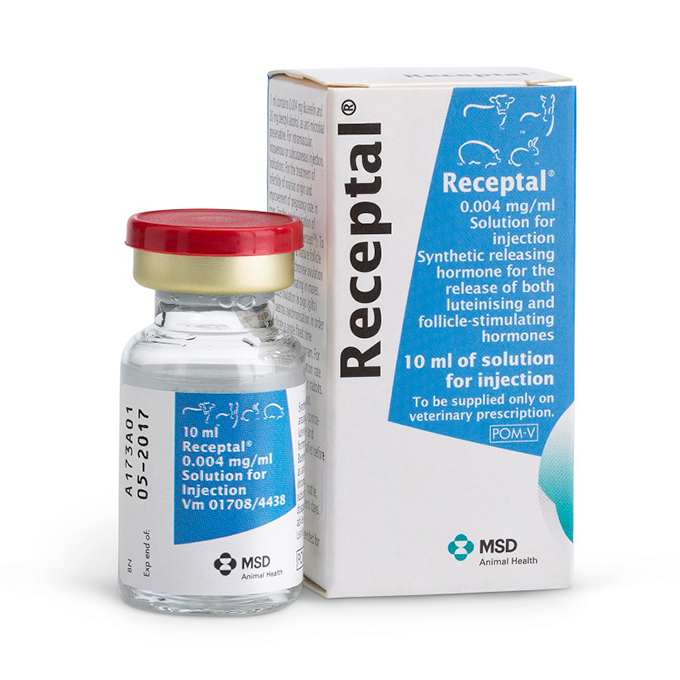 Receptal 0.004 mg/ml Solution for Injection