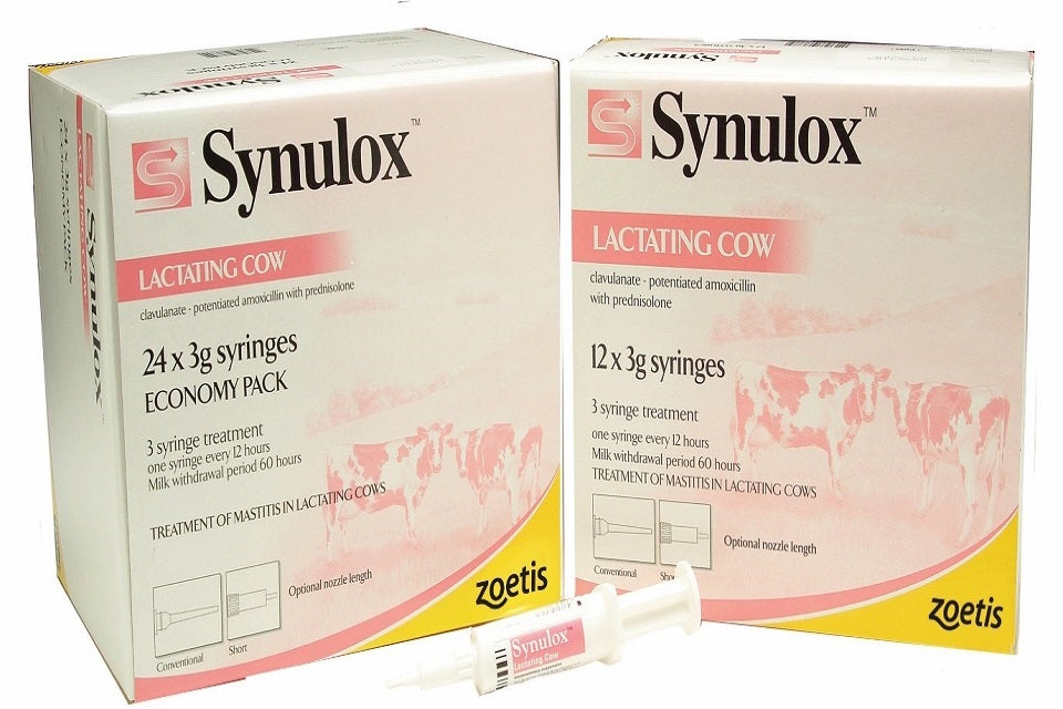 Synulox Lactating Intramammary Tubes 24